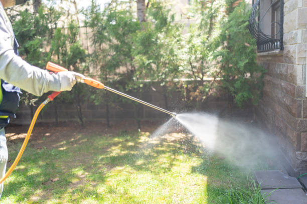 Pest Prevention Services in Seven Corners, VA